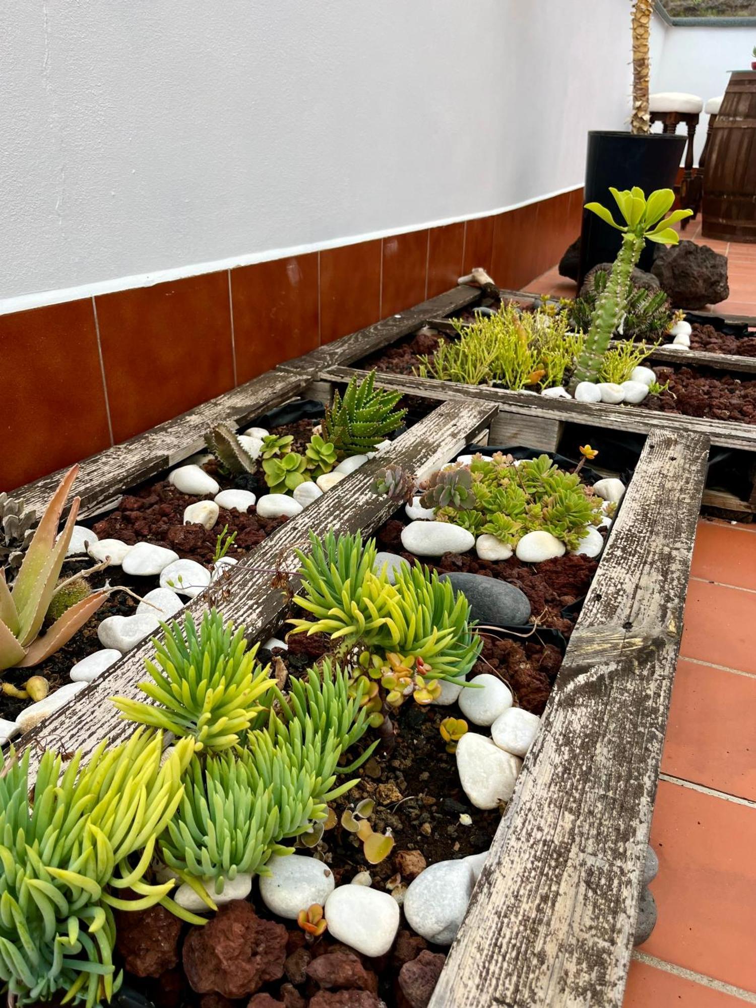 Los Verodes Frontera